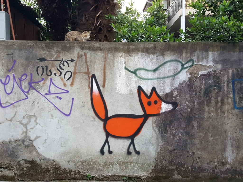 Curious Fox, Batumi, Georgia