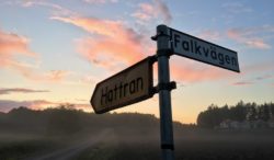 Foggy Evening on the way to Hattran, Eskilstuna, Sweden
