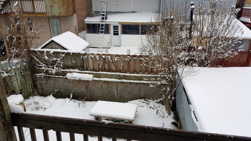 First Big Snowfall, Quebec, Canada