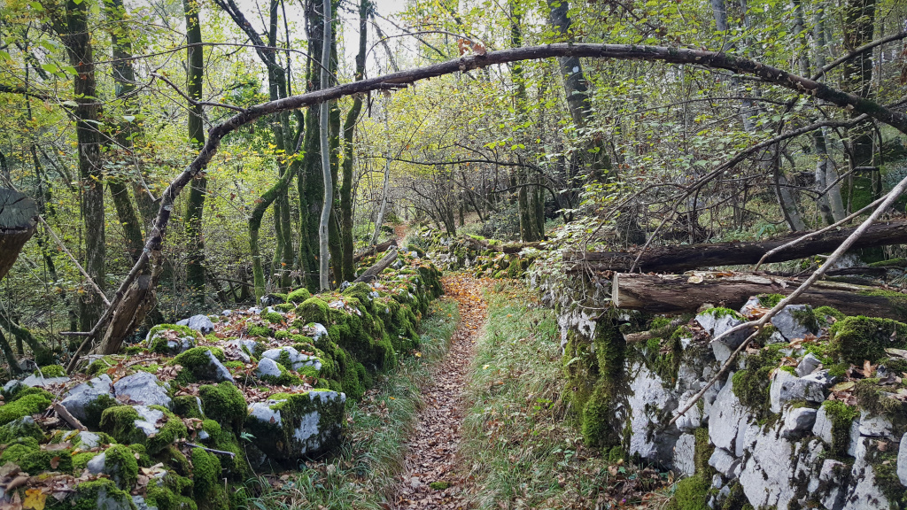 Trail near Kastav, Croatia